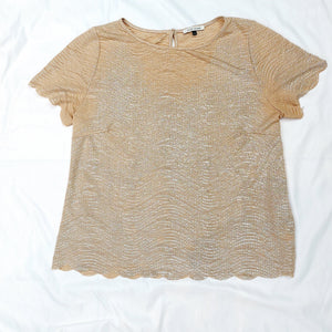 CHAMPAGNE SHIMMER TOP - UK16